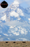 Three Bull Moose 0836