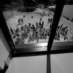 M Shed Window