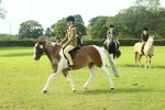 SBM_67646