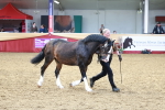 SBM_17494