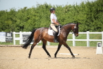 SBM_009532