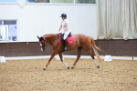 SBM_010225