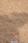 231015A-152218-08933