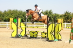 SBM_001313