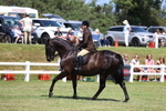 3E7A8119