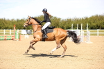 SBM_001687