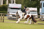 SBM_06147