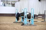 SBM_8571