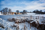Blenheim Park Under Snow