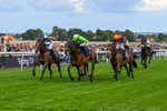 300826-Race 2-Jm Jungle-9671