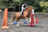 SNCP_0076