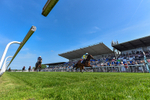 270526-Race 4-Mao Shang Wong-9010