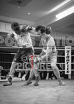 BOUT-9_Chris Summer v Luke Willis-11