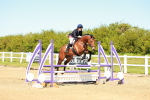 SBM_000648