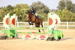 SBM_03887