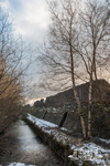 Hoffman Kiln 6
