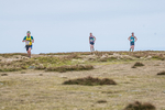 Black Combe-37