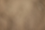 20260913-0945