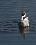 20110319-IMG_2459