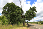 Meridian Road, Norwood, Oregon