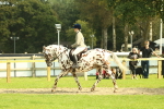 SBM_62482