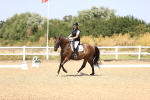 SBM_010608