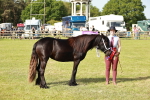SBM_00910