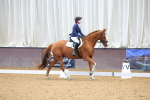 SBM_000585