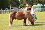 SBM_01820