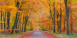 Autumn Track