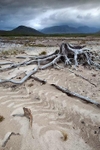 Loch Glascarnoch shores 2