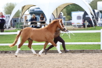 SBM_02447