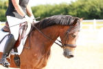 SBM_008304