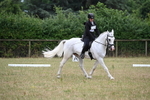 WJ6_2485