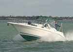 080929_HERON_5257