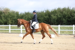 SBM_015337