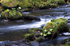 Rouken Glen, Glasgow - 2940