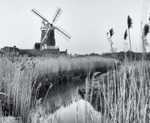 Windmill At Cley - Norfolk