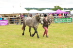 SBM_04056