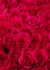 Floral-9