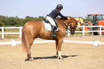 SBM_006593