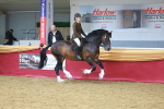 SBM_06023