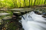 Stepping Stones