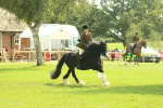 SBM_66631
