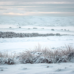 Landscapes portfolio