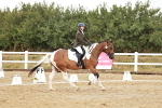 SBM_001355