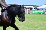 SBM_07912