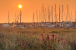 z1852 Sunrise over Norton Spit, Yarmouth