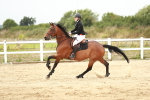 SBM_005427