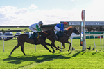 300926-Race 3-Fairydale-6175